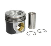 Pistone MAHLE 227 PI 00141 000