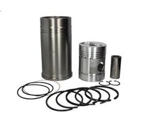 Pistone MAHLE 454 19 80