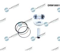 Pistone motore DRM18601 Dr.Motor Automotive per RENAULT FLUENCE MEGANE II
