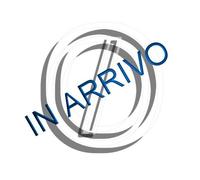 PISTONE MOTOSEGA HUSQVARNA 555 560 556 562XP 46MM RICAMBIO ADATTABILE 24/48H