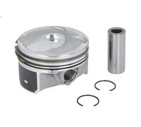 Pistone NE 130021001200