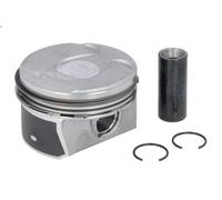 Pistone NE 130037003921 per DS DS 3 (SA_) 1.6 2015-2019