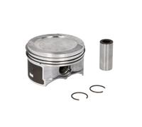 Pistone NÜRAL 87-148307-00