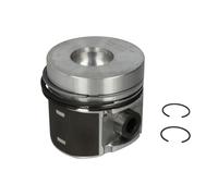 Pistone NÜRAL 87-252507-10