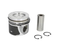 Pistone NÜRAL 87-422300-10