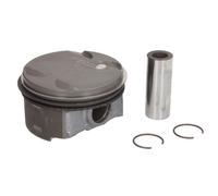 Pistone NÜRAL 87-425300-00