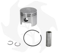PISTONE OLEO MAC - EFCO- ATOMIZZATORE AM 180 BG001500