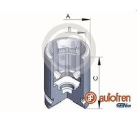 Pistone pinza freno Assale posteriore Acciaio D025233 AUTOFREN SEINSA per SUZUKI