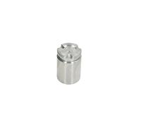 Pistone, pinza freno AUTOFREN SEINSA D025602, posteriore