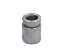 Pistone, pinza freno AUTOFREN SEINSA D02568, posteriore