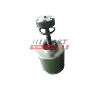 Pistone Pinza Freno Fast FT32290 per Iveco
