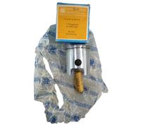 PISTONE PISTON KARL SCHMIDT 91789630 PISTON ASSY 55 125 SACHS 6 MARCE GEAR NEW