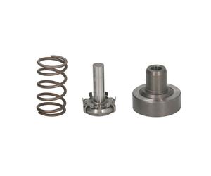 Pistone, pompa common rail BOSCH F 01M 101 349