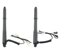 Pistoni A Gas Cofano Bagagliaio Coppia Di Supporti Di Sollevamento Portellone Posteriore Elettrico LR Posteriore 2 Pezzi Per BMW Per X5 E70 2007 2008 2009 2010 2011 2012 2013 Pistoncini Ammortizzatori