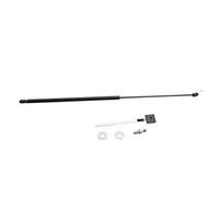 Pistoni Cofano Anteriore Per VW Per Golf 8 Per MK8 2020 2021 2022 2023 Cofano Anteriore Cofano Ascensore Supporto Poli Struts Ammortizzatori Asta Idraulica Molle A Gas Molle A Gas Pistoni