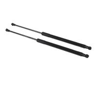 Pistoni del Baule Compatibile Con BMW Per 1series F20 F21 2011-2016 Ammortizzatore Posteriore Per Portellone Posteriore Molla A Per Gas Asta Idraulica 51 24 7 239 871