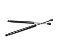 Pistoni del Baule Compatibile Con BMW Per 3 Series E46 325Ci 330Ci M3 E90 2001-2006 Ammortizzatori Posteriori Per Portellone Posteriore Supporto Per Montante Di Sollevamento 51248254281