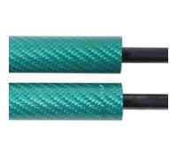 Pistoni Portellone Per Nissan Per Qashqai J11 2014-2022 Supporto Sollevamento Ammortizzatore Bielle Cilindro Supporto Portellone Posteriore Montanti Bagagliaio Molle a gas posteriore(VERDE)