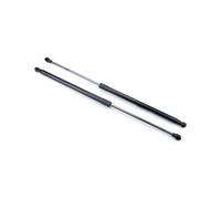 Pistoni Portellone Posteriore Per BMW Per X5 E53 2000 2001 2002 2003 2004 2005 2006 Auto Portellone Posteriore Boot Molla A Gas Strut Ascensore Supporto 51248402405