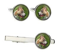 Pit Bull set di mollette in una scatola con immagine Art-Dog