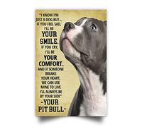 Pit Bull - So che sono solo un cane, ma se ti senti triste sarò il tuo sorriso Poster divertente in metallo per casa, bar, caffetteria, arte murale decorativa per casa, garage, caverna dell'uomo, cart