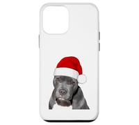 Pit Bull Terrier con cappello di Babbo Natale adorabile Custodia per iPhone 12 mini