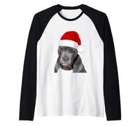Pit Bull Terrier con Cappello di Babbo Natale Adorabile Maglia con Maniche Raglan