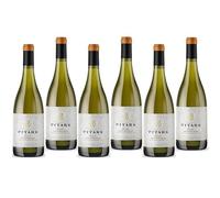 PITARS TRAMINER AROMATICO DOC 2025 FRIULI 75 CL 6 BOTTIGLIE