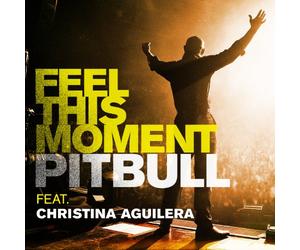Pitbull Featuring Aguilera,Christina - Feel This Moment