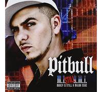 Pitbull - Money Is Still a Major Issue
