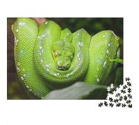 Pitone Verde Puzzle 1000 Pezzi Cartaceo Puzzle per Adulti Ecologia Forestale Gioco di Puzzle 1000 Pezzi Relax Concentrazione Decorazione Casa Regalo 70x50cm/1000pcs