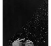 Pitre, Duane And Cor - Seeker And The Healer