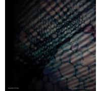 Pitre, Duane - Feel Free: Live At Cafe Oto