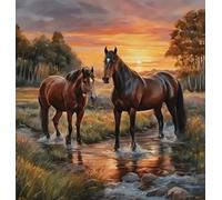 Pittura a diamante Cavalli nel fiume 30x40 cm