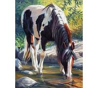 Pittura a diamante Cavallo nel fiume 30x40 cm