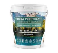 Pittura Antimuffa Fotocatalitica per Interni/Vernice Lavabile Atossica adatta a Bambini e Animali/Traspirante e Risanante per Pareti interne Muro Legno Metallo/No Tossica (Trasparente, 15 Kg)
