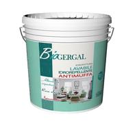 Pittura Antimuffa Idropittura Lavabile Idrorepellente per Interni 14Lt BIOGERGAL