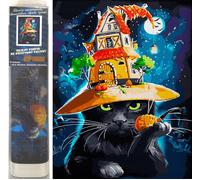 Pittura di diamanti Gatto di Halloween 30x40cm