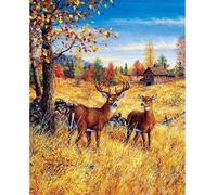 Pittura diamantata Cervi nel campo 30x40 cm