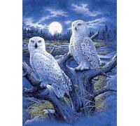 Pittura diamantata Civetta delle nevi 30 × 40 cm