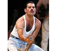 Pittura diamantata FREDDIE MERCURY 30 × 40 cm
