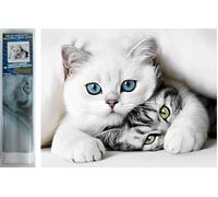 Pittura Diamante Segreto del Gatto