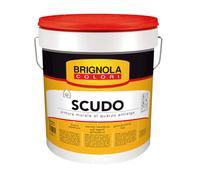 Pittura Murale al quarzo bianca Brignola Scudo, 5 litri