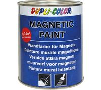 Pittura murale Magnetic Paint