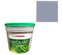 Pittura murale traspirante Muri Pareti Interni Idropittura coprente Carson Paint