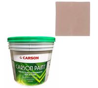 Pittura murale traspirante Muri Pareti Interni Idropittura coprente Carson Paint