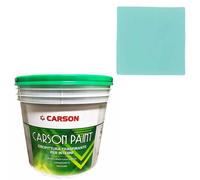 Pittura murale traspirante Muri Pareti Interni Idropittura coprente Carson Paint