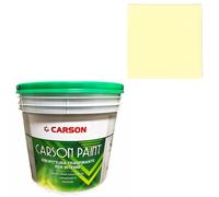 Pittura murale traspirante Muri Pareti Interni Idropittura coprente Carson Paint