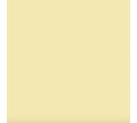 PITTURA TERMICA GIALLO ANTICONDENSA ANTIMUFFA TERMOISOLANTE RISANA PARETI UMIDE