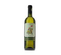 PIÙCHEBELLO Moscato Bianco IGT delle Venezie 2022 - La Montecchia Conte Emo Capodilista
